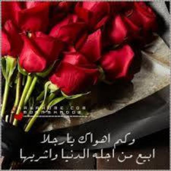 fawzia_m